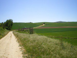 D03 Imgp3024 | 산티아고 순례길을 위한 자전거 대여 | 투른라이드