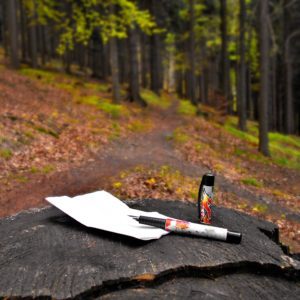 Historia De La Peregrinación A Santiago De Compostela 1 Poem-1342655_960_720