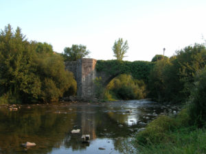 Stage 2: From Roncesvalles To Pamplona 13 Puente De La Rabia In Zubiri Over A River, Surrounded By Green Trees