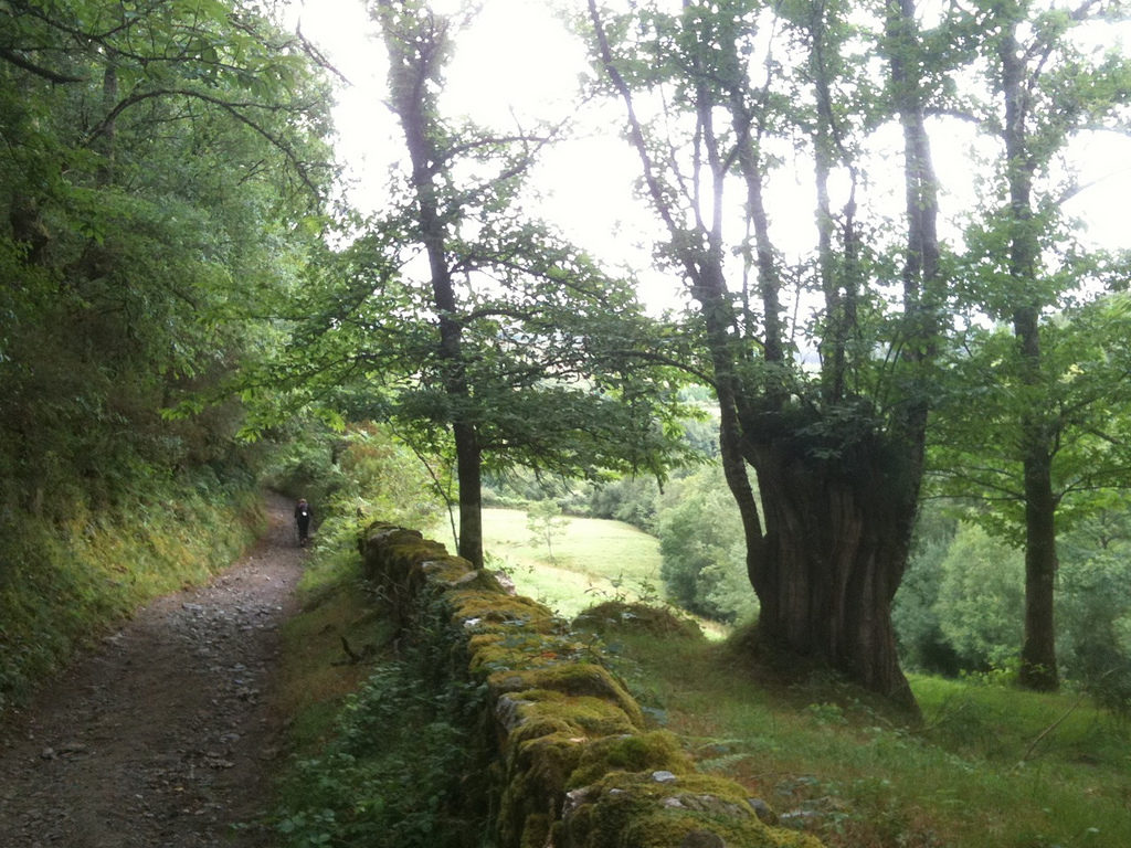 Etapa 12: De O Cebreiro A Sarria 11 Camino Triacastela San Xil | Alquiler Bicicletas &Amp; E-Bikes - Camino De Santiago (España/Portugal)