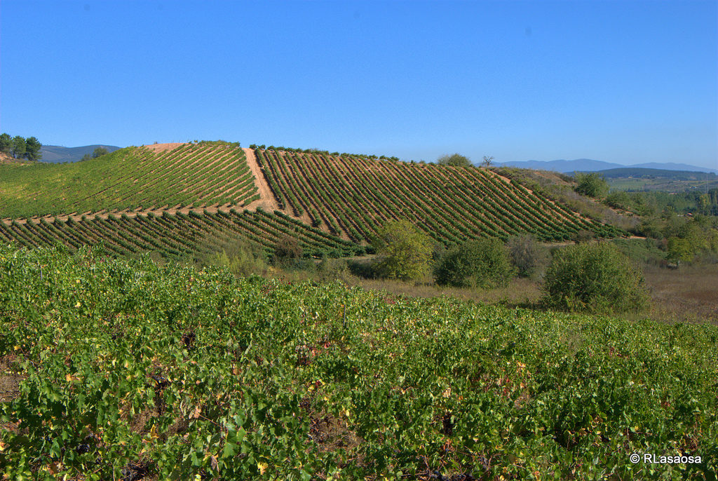 Etapa 11: De Ponferrada A O Cebreiro 8 Cacabelos | Alquiler De Bicicletas Para El Camino De Santiago | Tournride