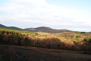 Vistas Castromaior | 산티아고 순례길을 위한 자전거 대여 | 투른라이드