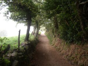 Corredoira Ramil Triacastela | Bike Rental For The Camino De Santiago | Tournride