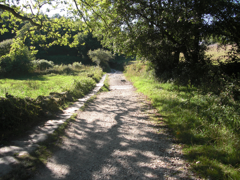 Stage 13: From Sarria To Melide 3 Senda-Sarria-Portomarin