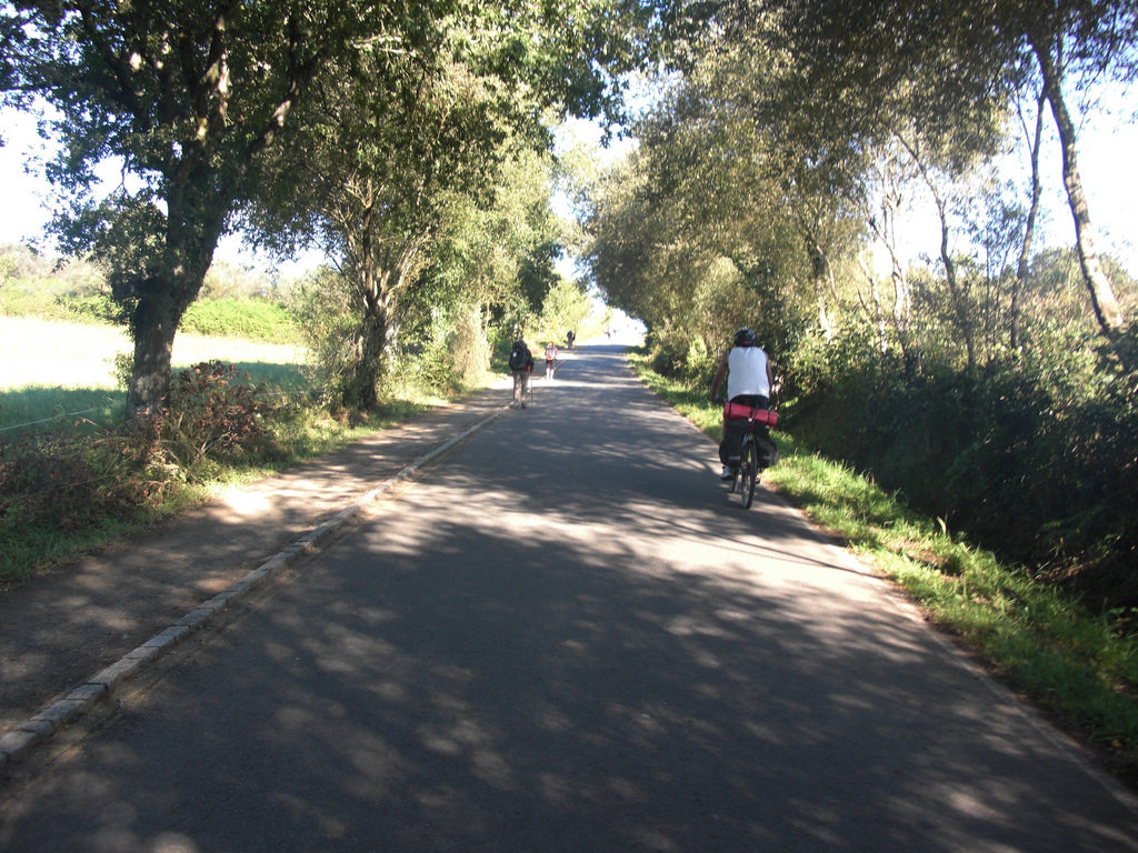 Etapa 13: De Sarria A Melide 4 Pista O Hospital Palas | Alquiler Bicicletas &Amp; E-Bikes - Camino De Santiago (España/Portugal)