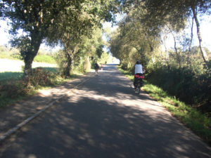 Pista-O-Hospital-Palas