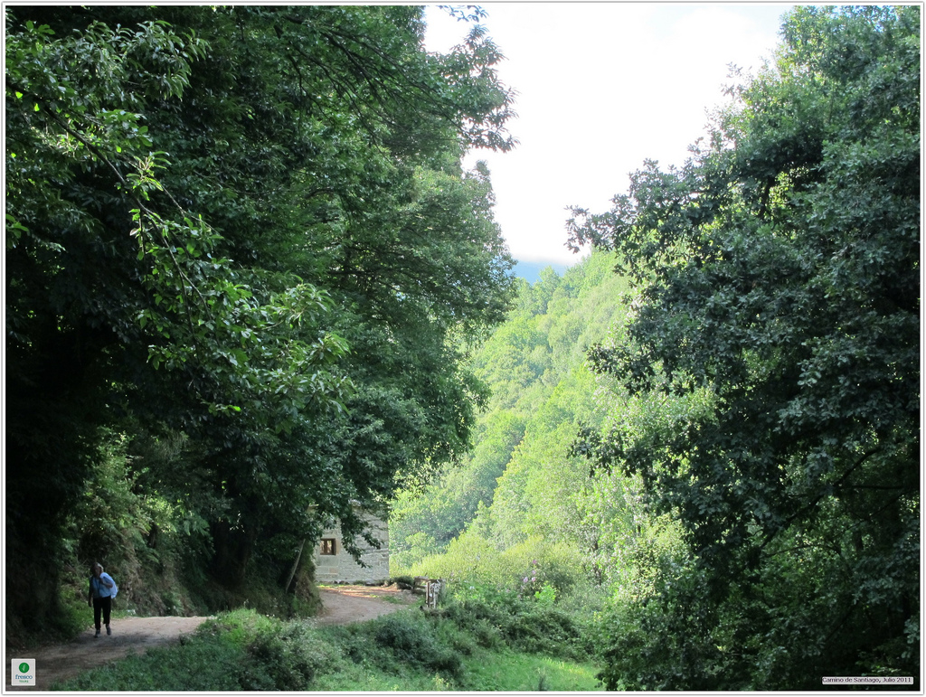 Etapa 12: De O Cebreiro A Sarria 4 Tramo Camino San | Alquiler Bicicletas &Amp; E-Bikes - Camino De Santiago (España/Portugal)