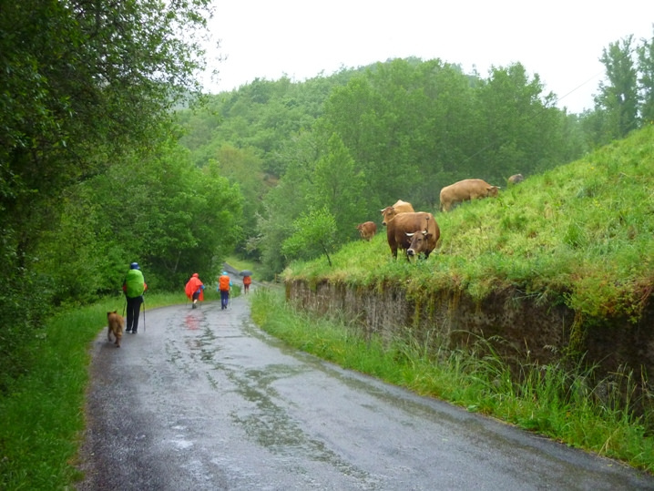 Etapa 11: De Ponferrada A O Cebreiro 12 Vega Valcarce | Alquiler De Bicicletas Para El Camino De Santiago | Tournride