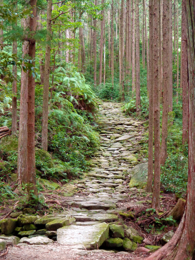 쿠마노 코도와 산티아고 순례길 3 Ruta De Nakahechi, La Más Popular Del Kumano Kodo