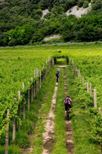 Dois Ciclistas Fazendo O Caminho De Santiago Por Conta Própria
