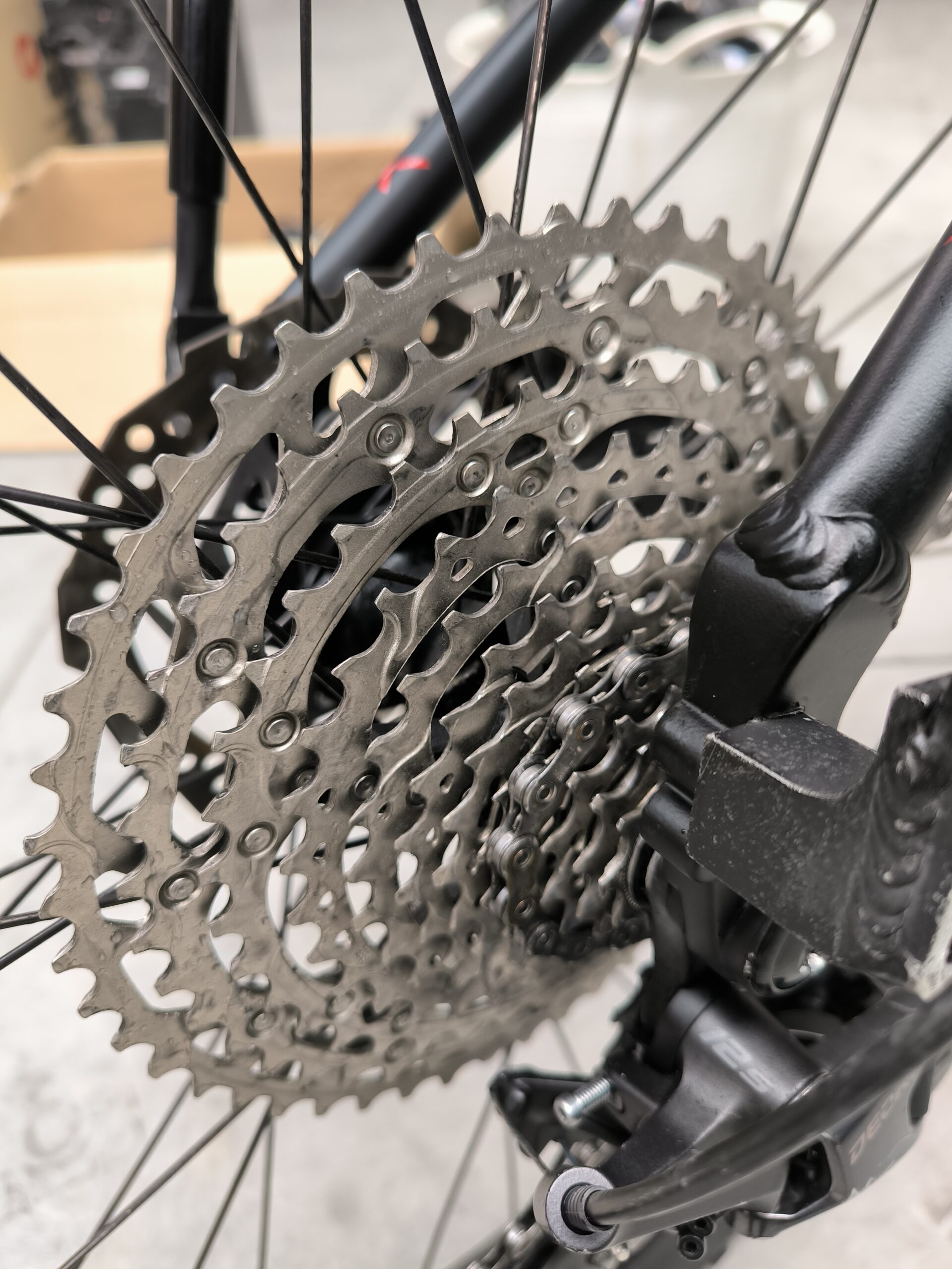 How We Clean Every Camino Bike: Biodegradable Bike Cleaning With X-Sauce 4 Cassette And Chain Clean After Biodegradable X-Sauce Degreasing
