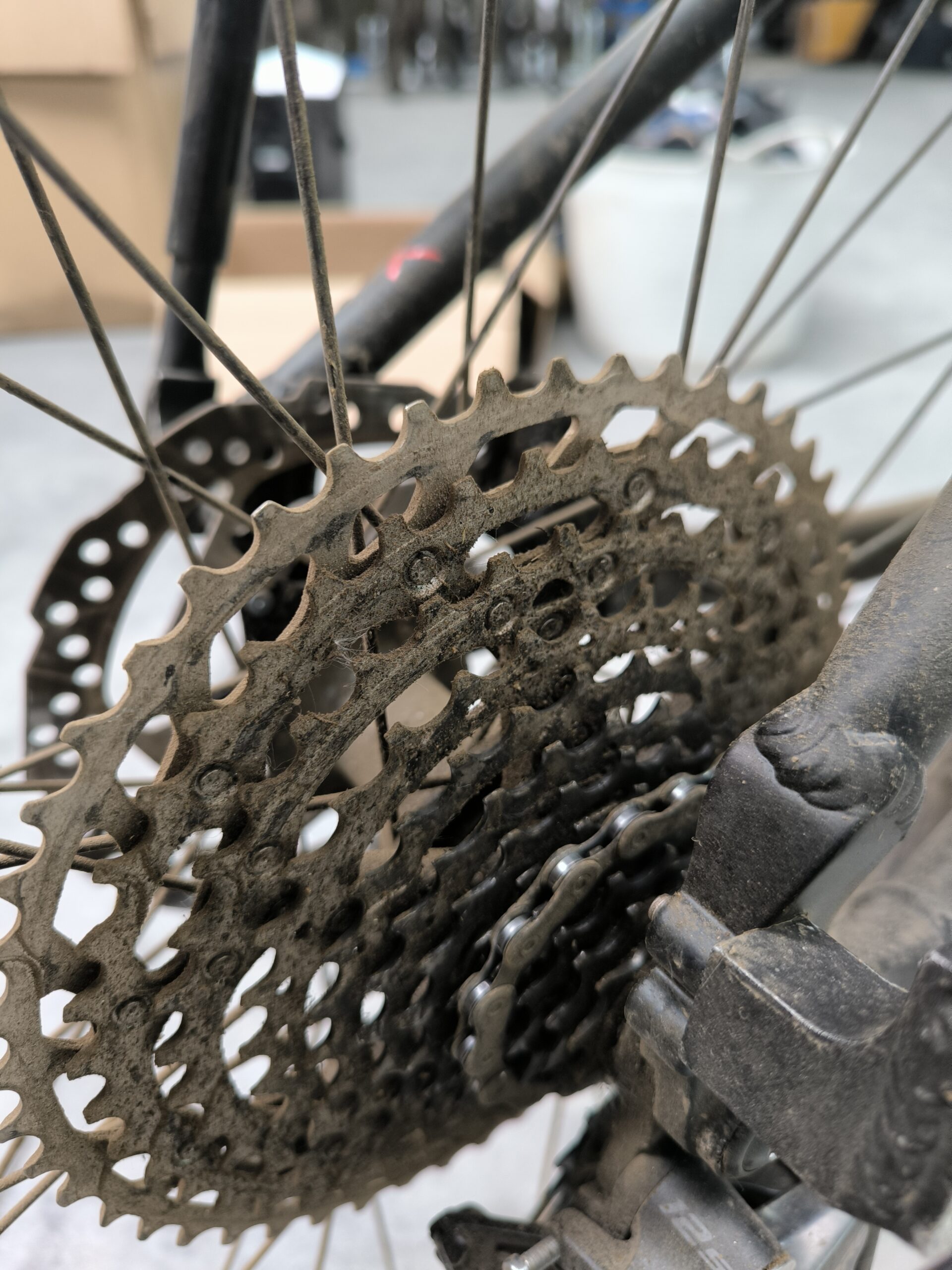 How We Clean Every Camino Bike: Biodegradable Bike Cleaning With X-Sauce 2 Cassette Before Biodegradable Bike Cleaning, After 700 Km On The Camino Francés